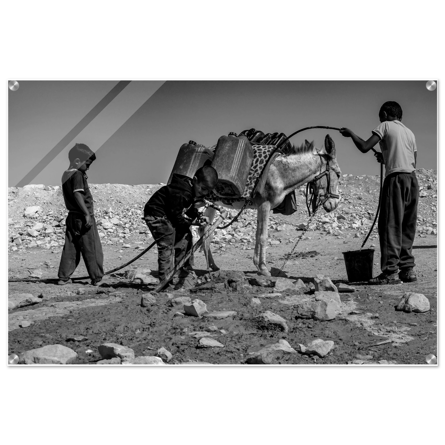 21c787cb-e0d3-4b10-8c5f-64a6a0369598