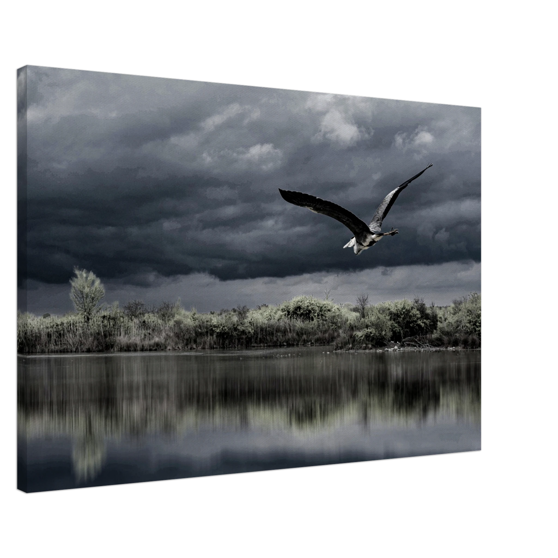 3bf0db2b-645a-4be6-abf0-53ebd89d0378