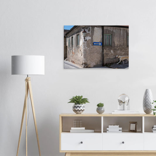 475a9dc9-a9bb-4e1c-9d5f-1c5554863763