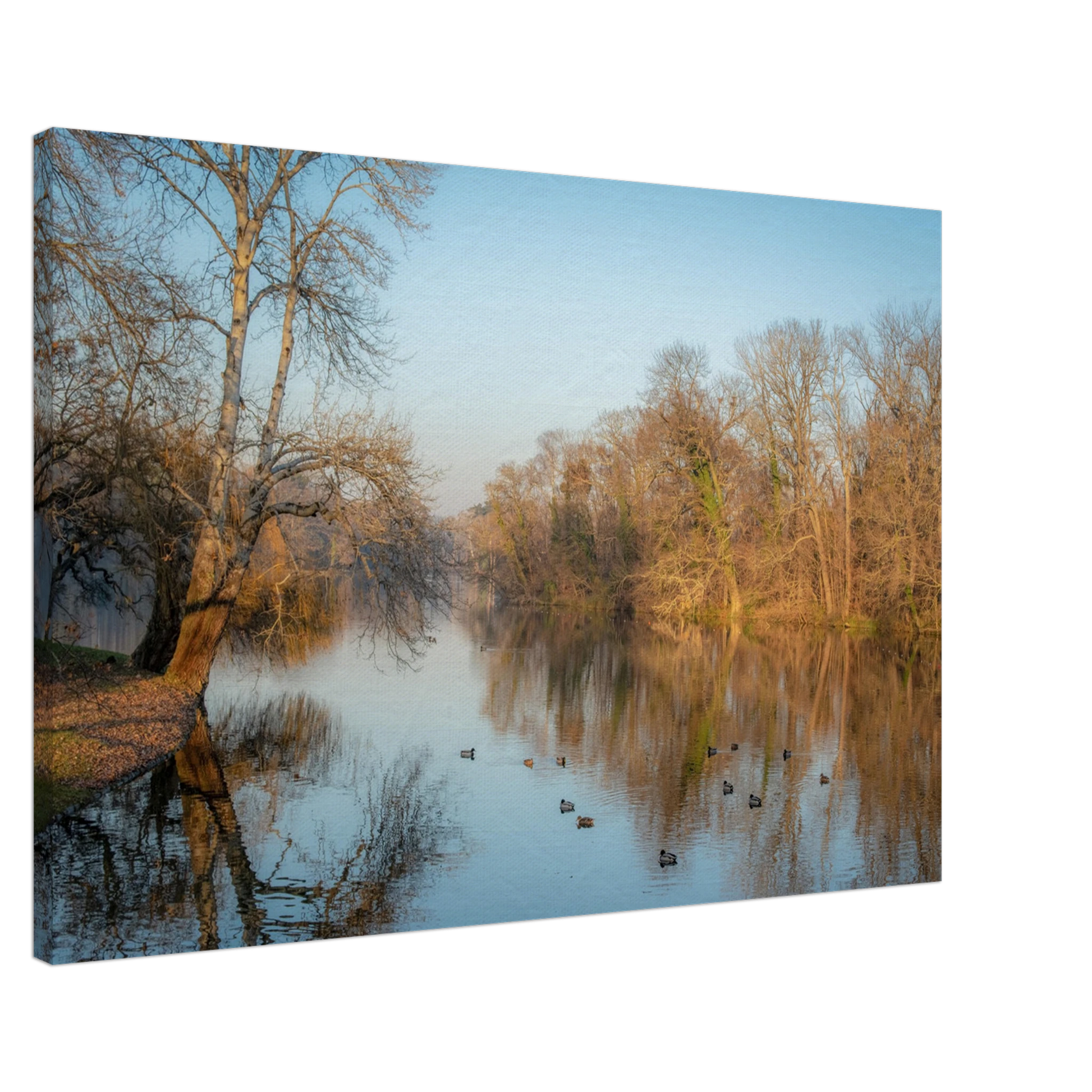 4d321b1e-75b2-4ad9-869b-fa2c030678ce