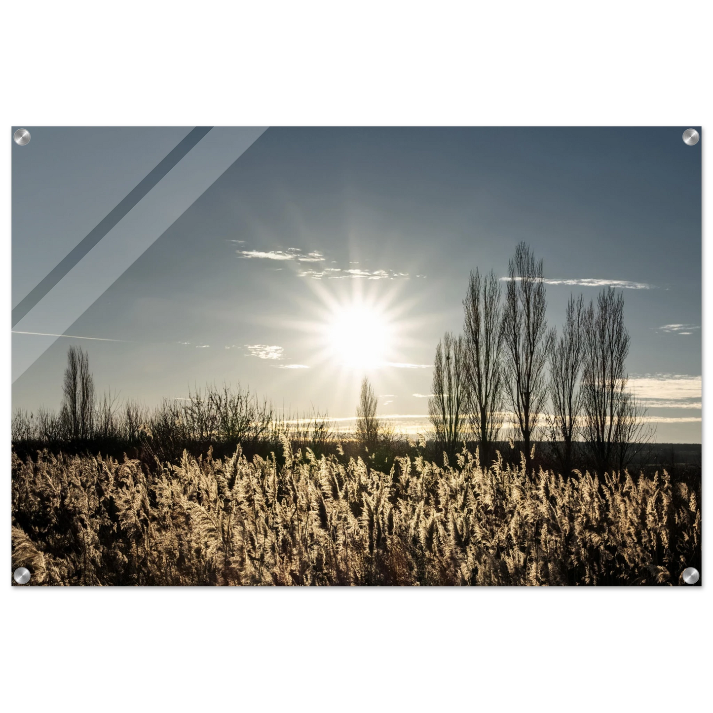 504e57ad-5ec1-4581-82bf-e3714cd2aad5