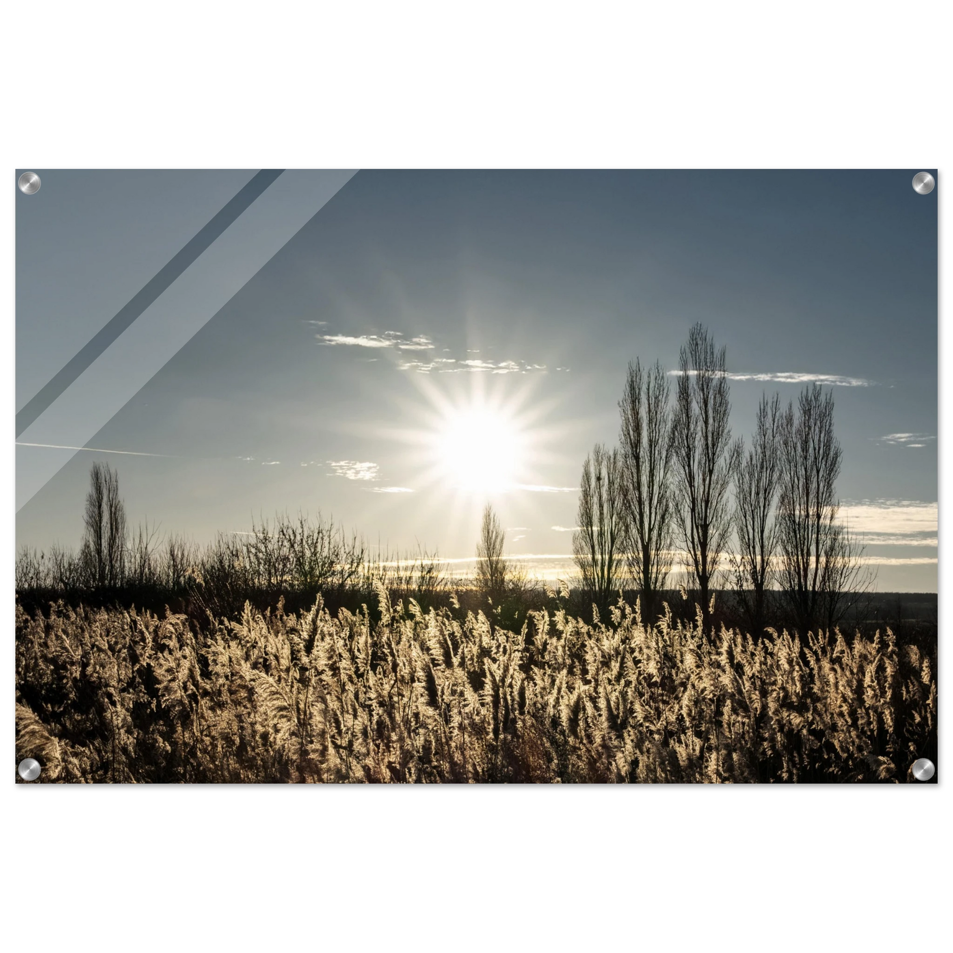 504e57ad-5ec1-4581-82bf-e3714cd2aad5