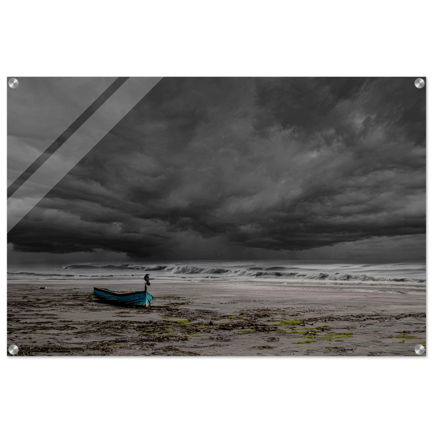 50bb0a20-b87e-4aaa-9ef6-8e3e4996f003