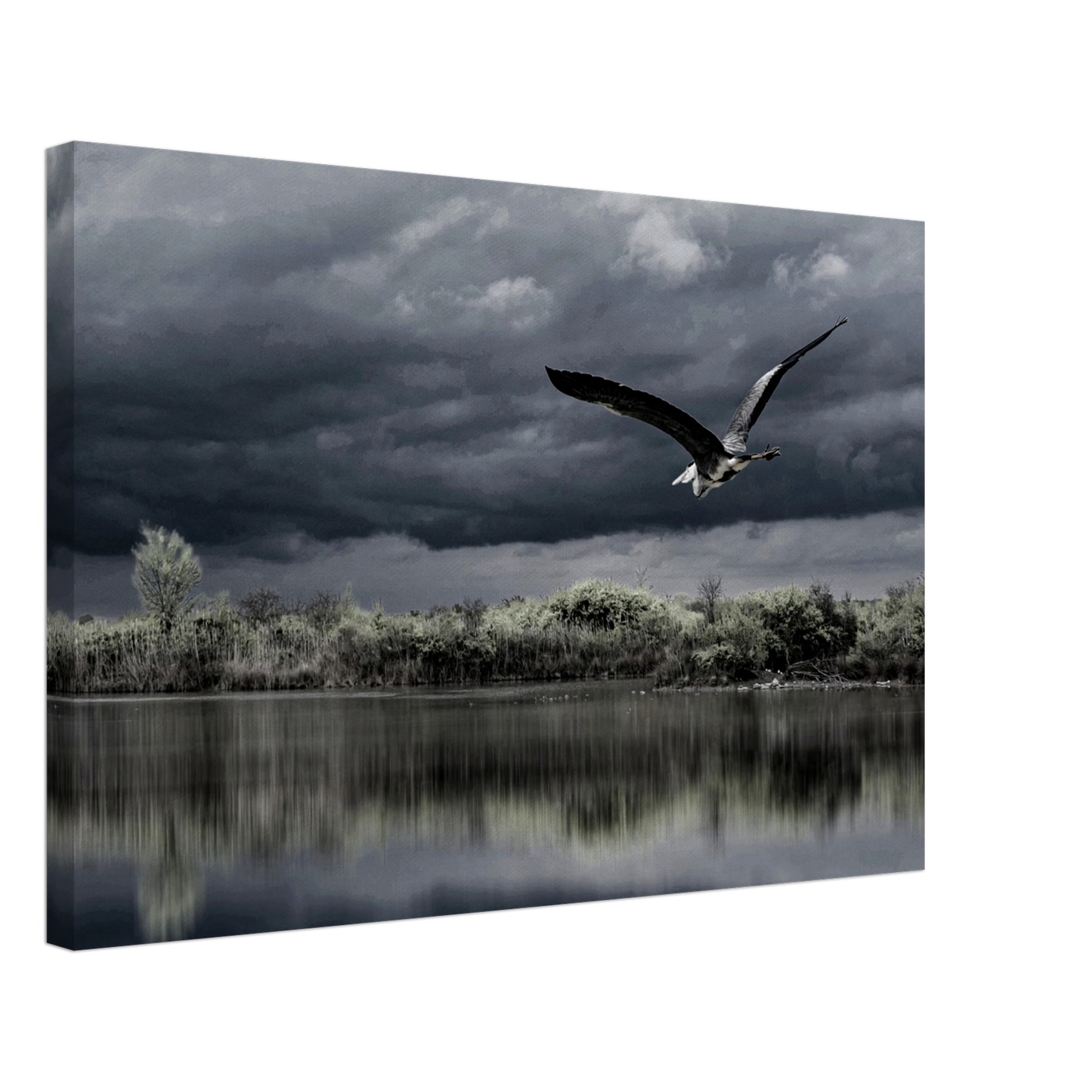 607bd2d0-1dc3-422d-ba2b-bde3e935ea2a