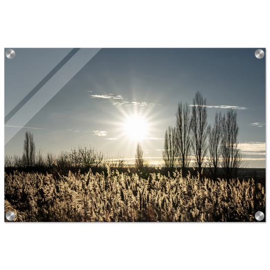 66fc30b6-a14b-4dc5-bd40-672d078c922d