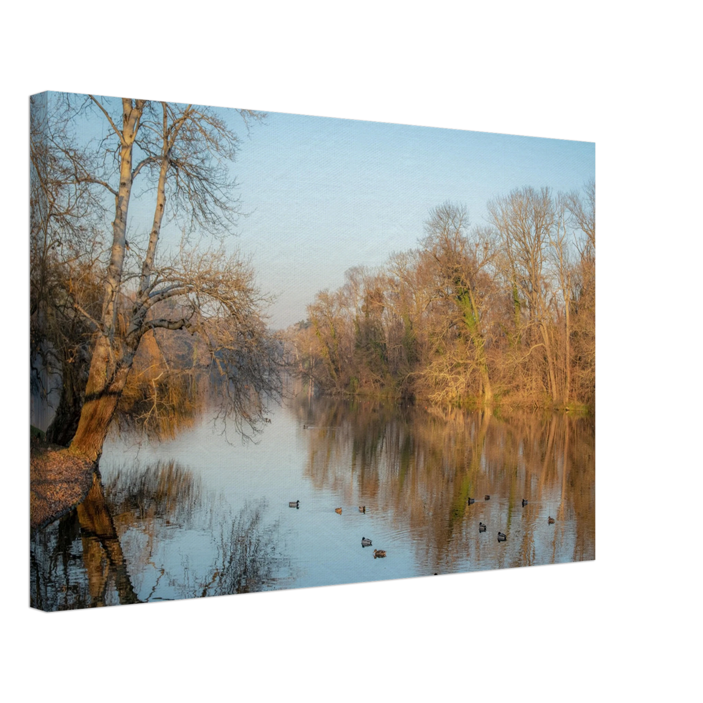 713703b0-b03e-4808-bb82-c75abee2458e