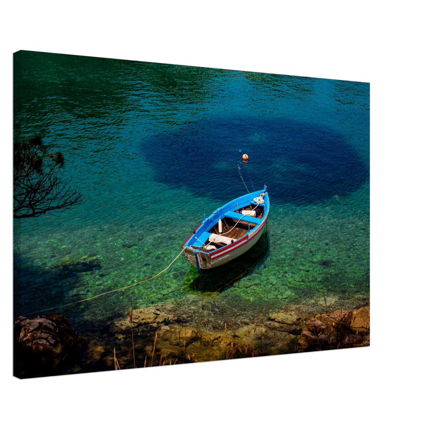 81684679-a8b1-4517-b073-5953eba9d7c7