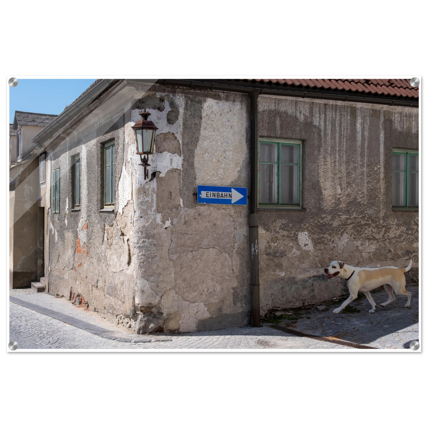 9d749403-6bfb-4fb4-88a7-9dc44780f0f3