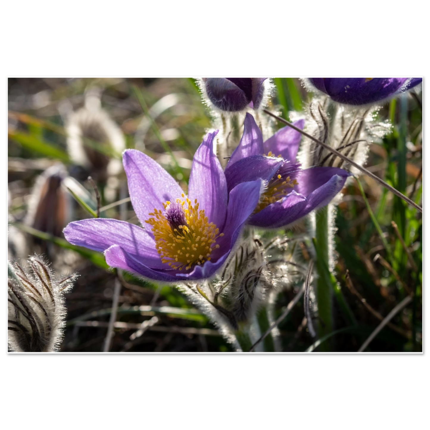 a15c11b5-02ac-4754-bf2c-8ebfbf3a47b1