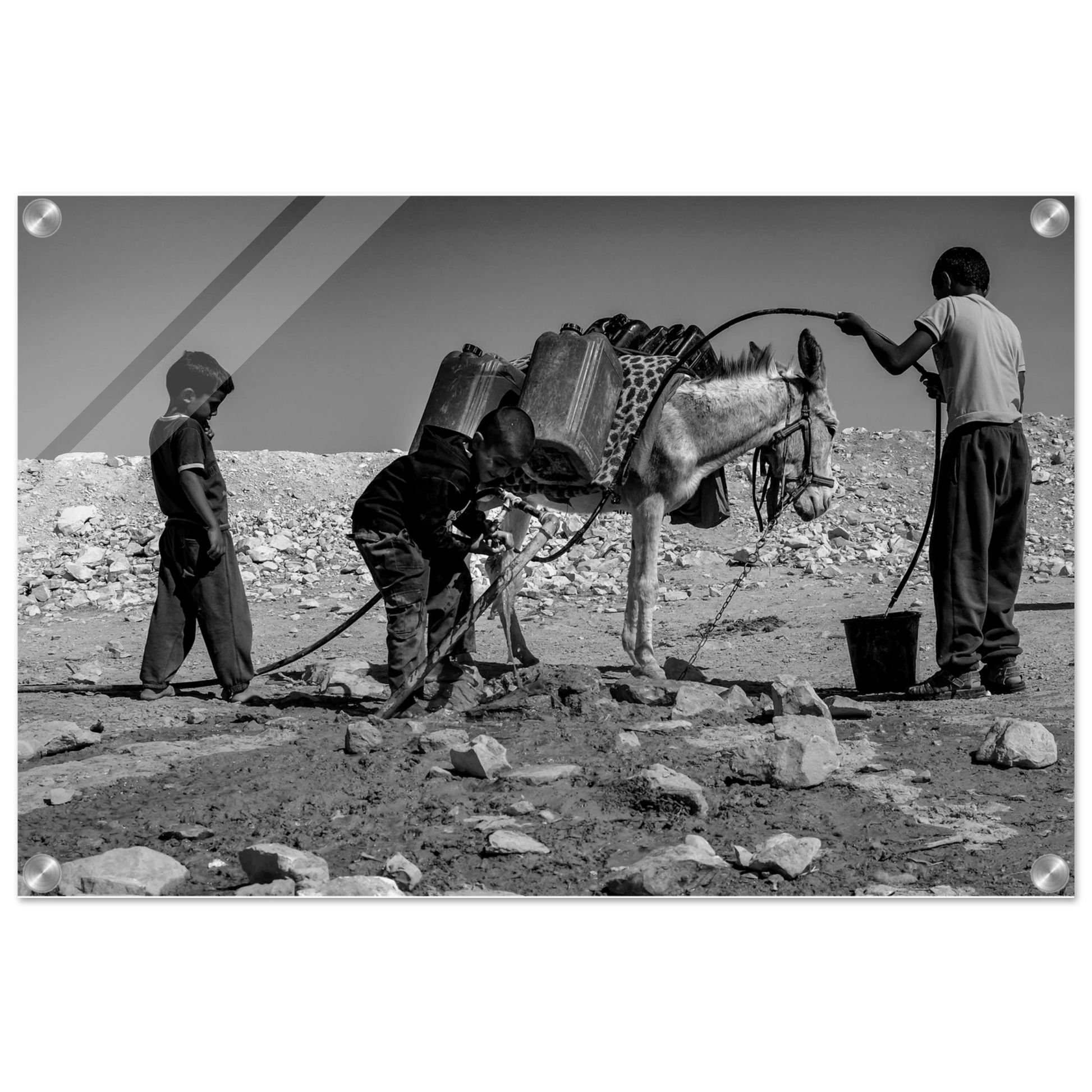 ac21b497-5868-446a-ae50-cbcab3a98146