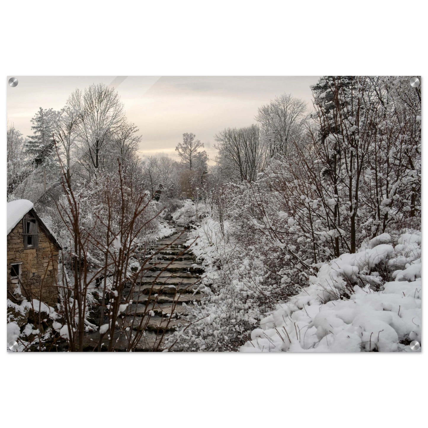 c9608f13-fea0-4f78-a26e-728c40756d12