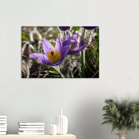 d0279283-9c48-4f87-afd4-1a05621e6cc9