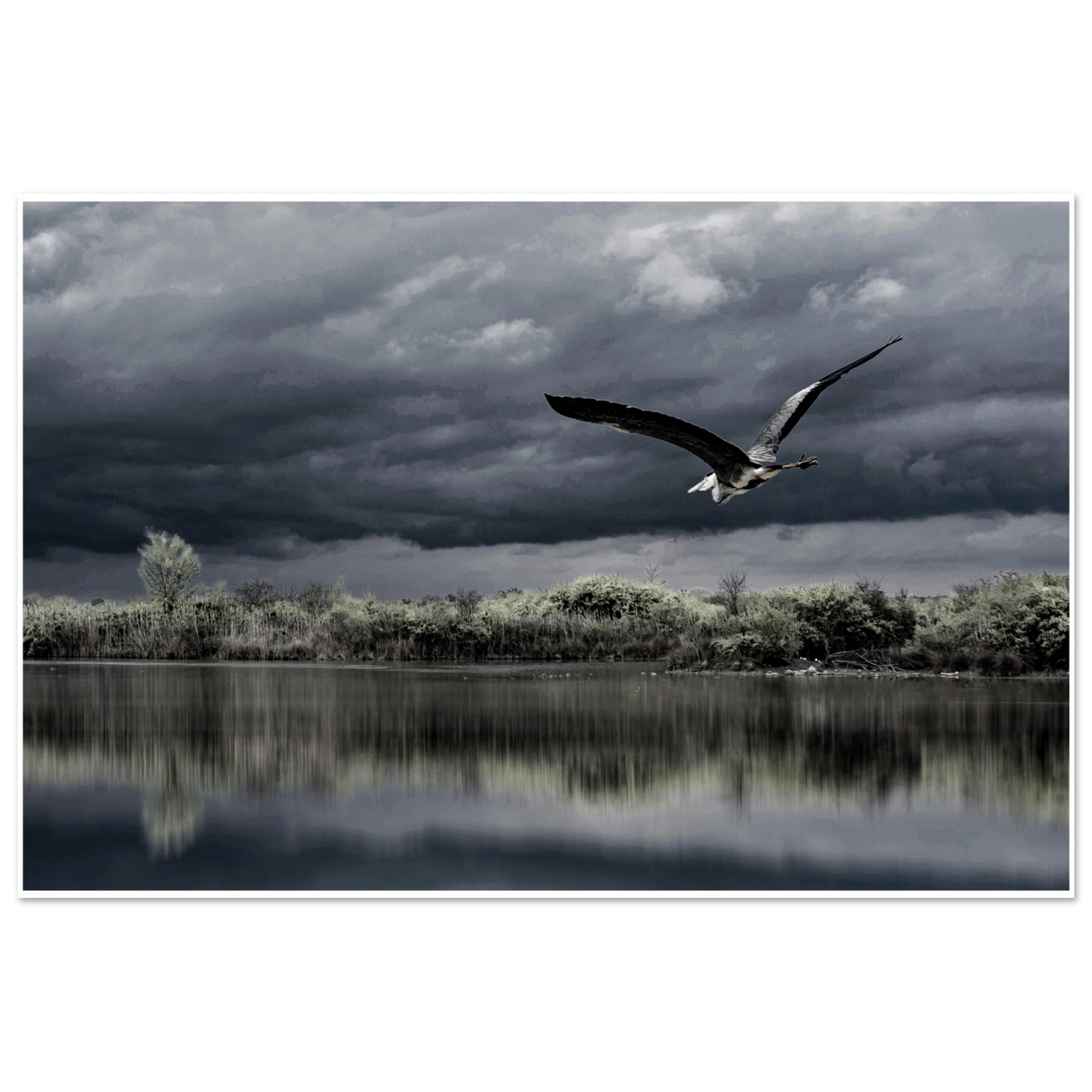 e110593a-b9d1-42af-897f-a085bcc9b3d8