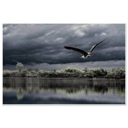 e110593a-b9d1-42af-897f-a085bcc9b3d8