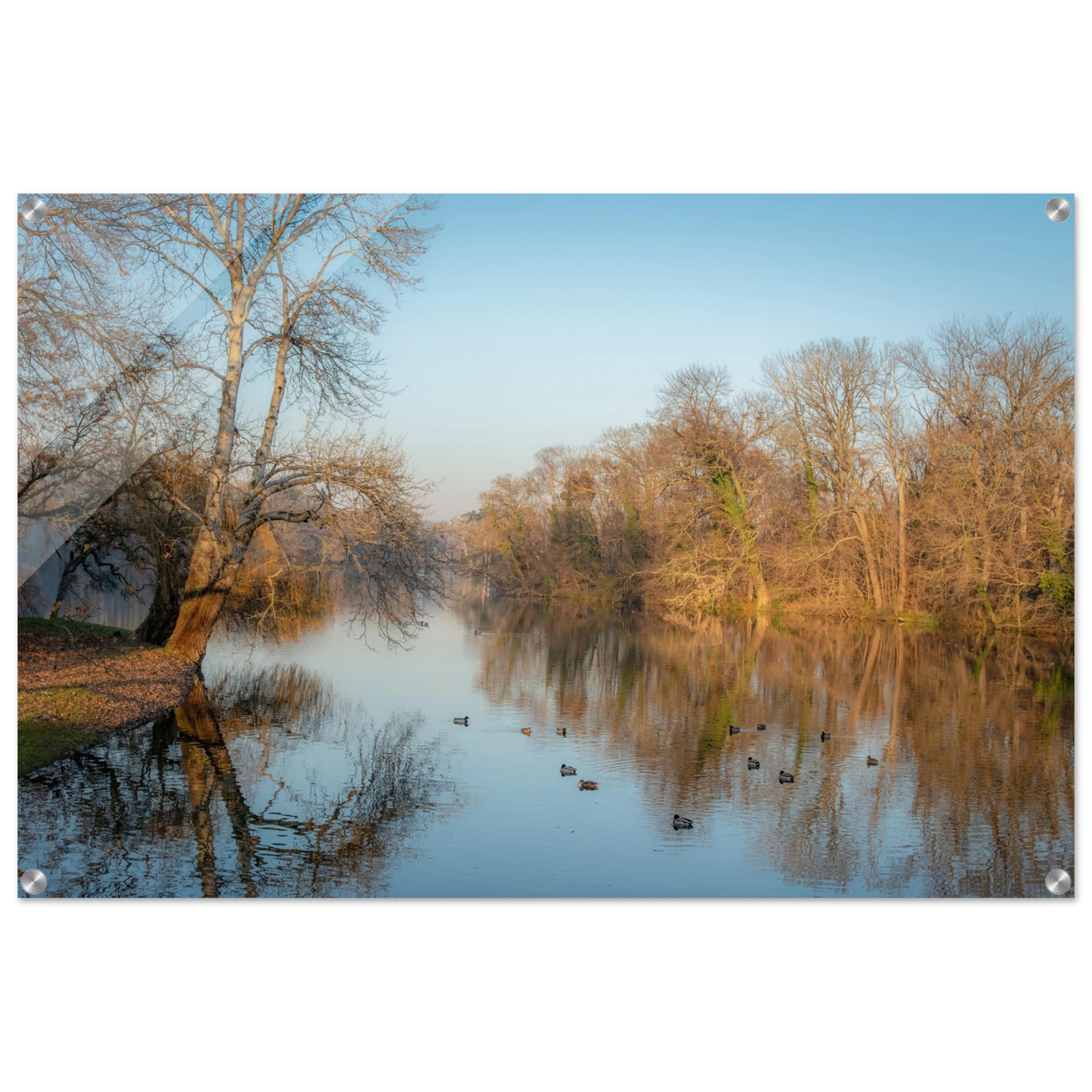 e330fdd2-f58e-4ed2-ab0c-479d782297b0