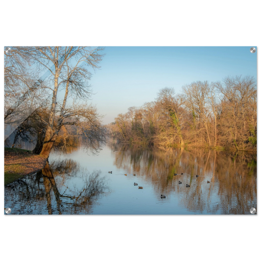 e330fdd2-f58e-4ed2-ab0c-479d782297b0