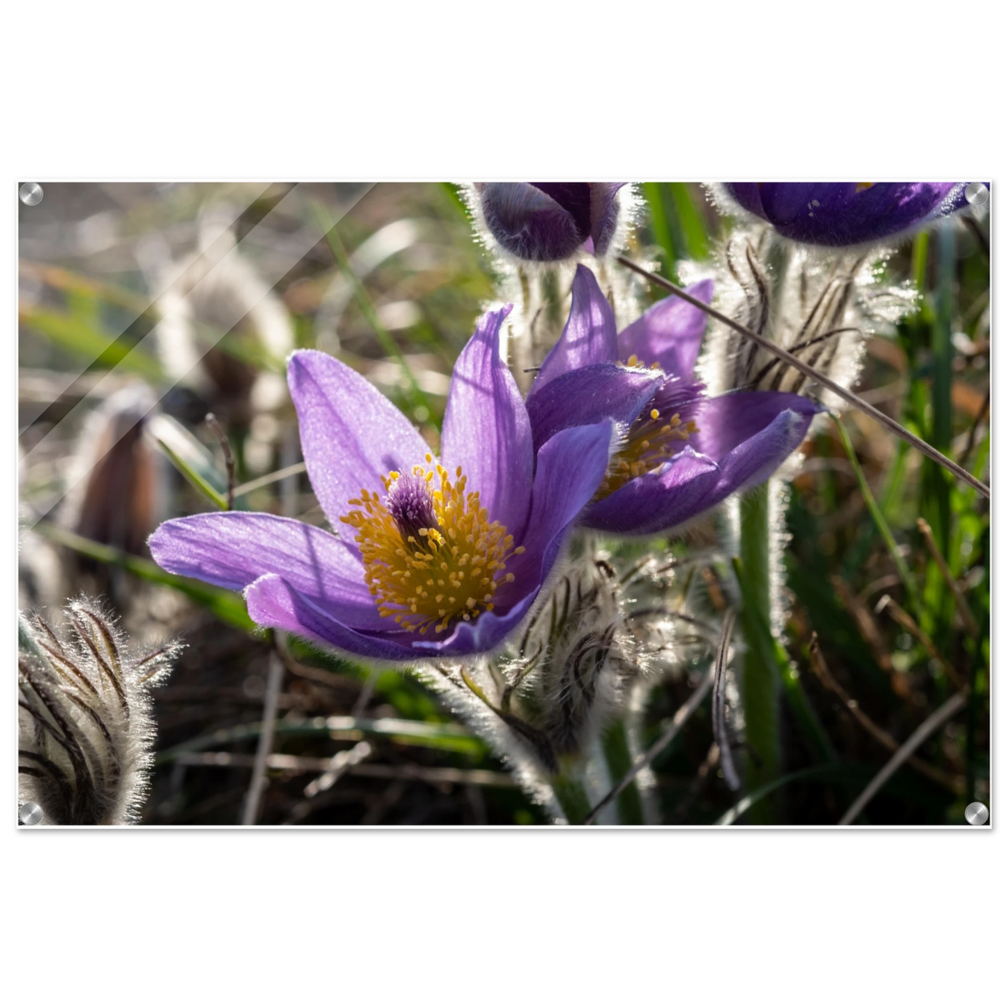 0c3fcd29-5d42-440d-b657-1891c0d91215