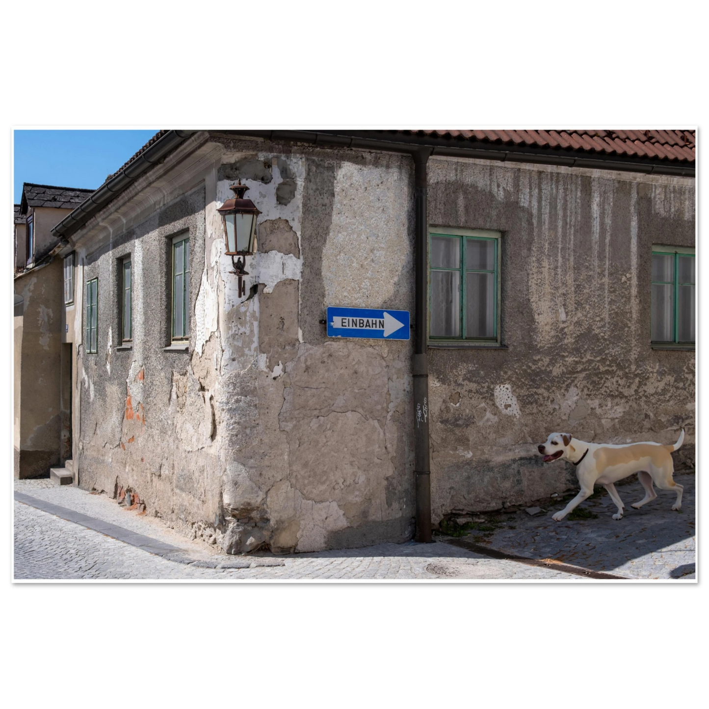 22d7d98e-f783-4981-a92c-0f90864c50f9