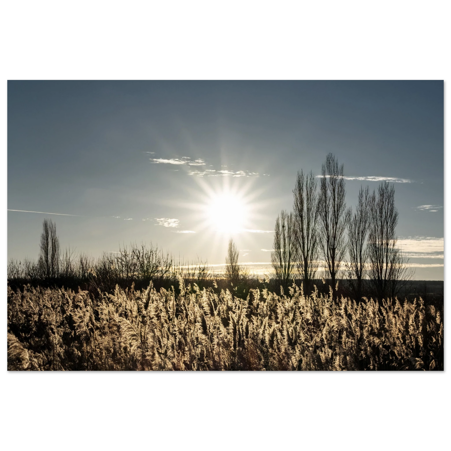 3411b898-580d-4682-8d54-7a49a39dc9c9