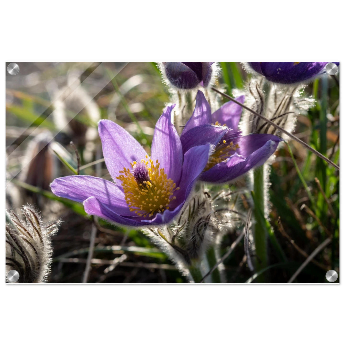 51eab17c-9d90-4899-a923-75b303e1f39d