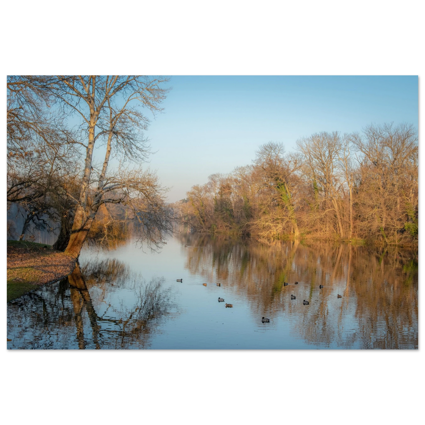 56a620d2-dedf-4cfb-bdbe-9447f61f7ab8