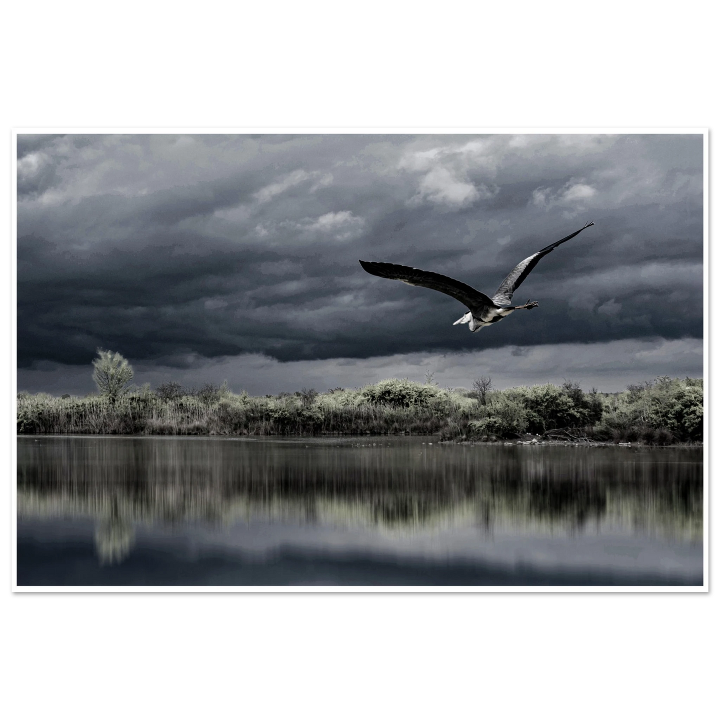 5f1f233b-517d-463c-93eb-0695a673ef1d