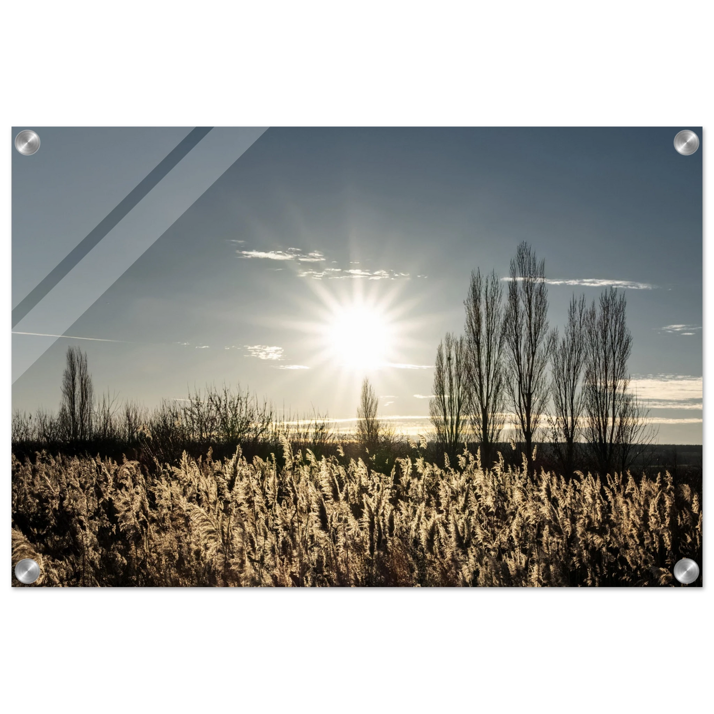 66fc30b6-a14b-4dc5-bd40-672d078c922d