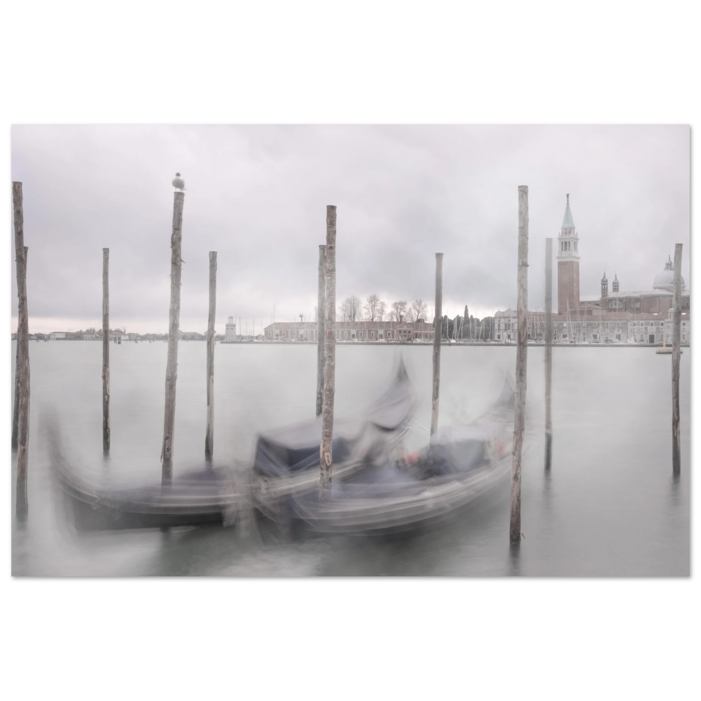 8682849d-8a17-4dd7-8c6b-7b563440d811