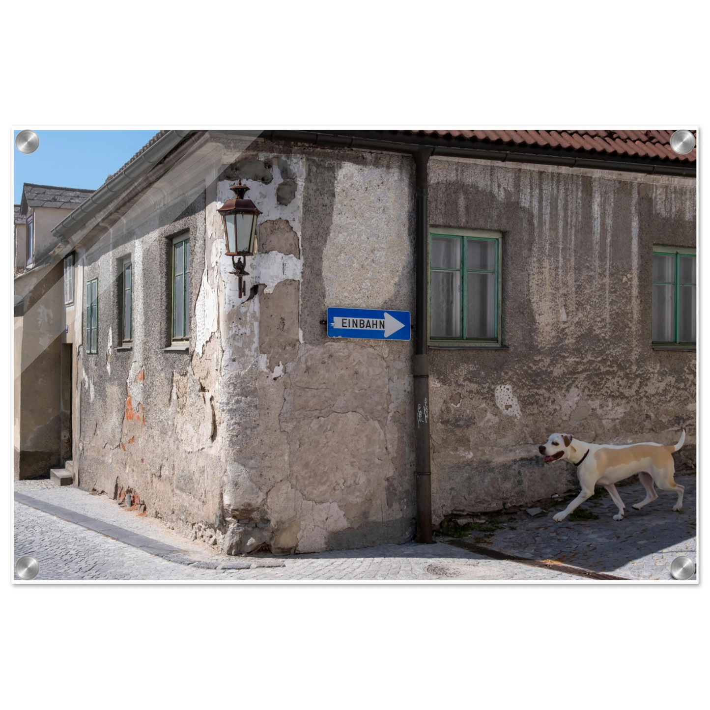 8a314300-6de2-4d53-8761-92b20220c186