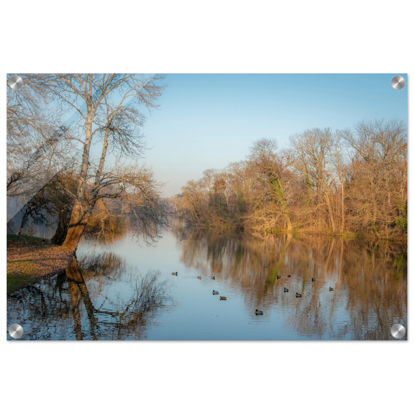 93a84db7-b5dc-4320-b03e-e63988efc0f0