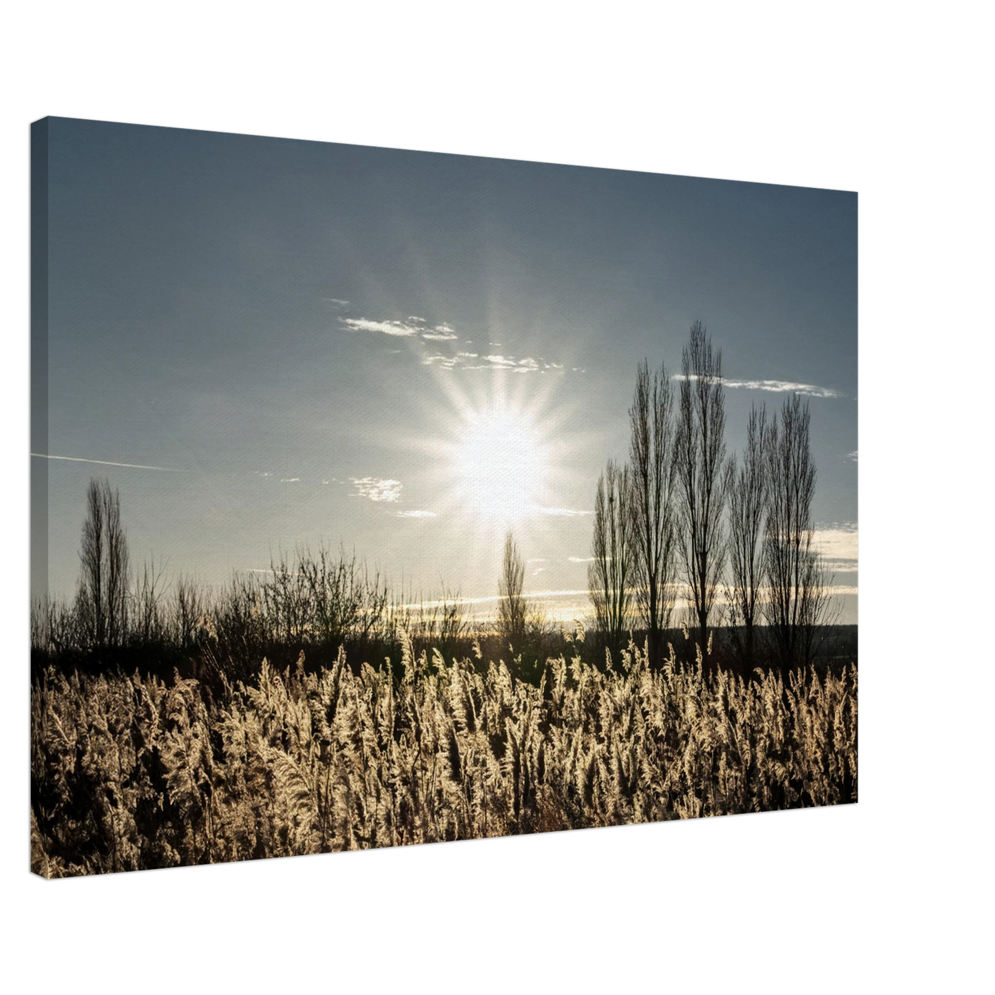 9746d87e-9366-492d-b453-b5ffd6ffb022