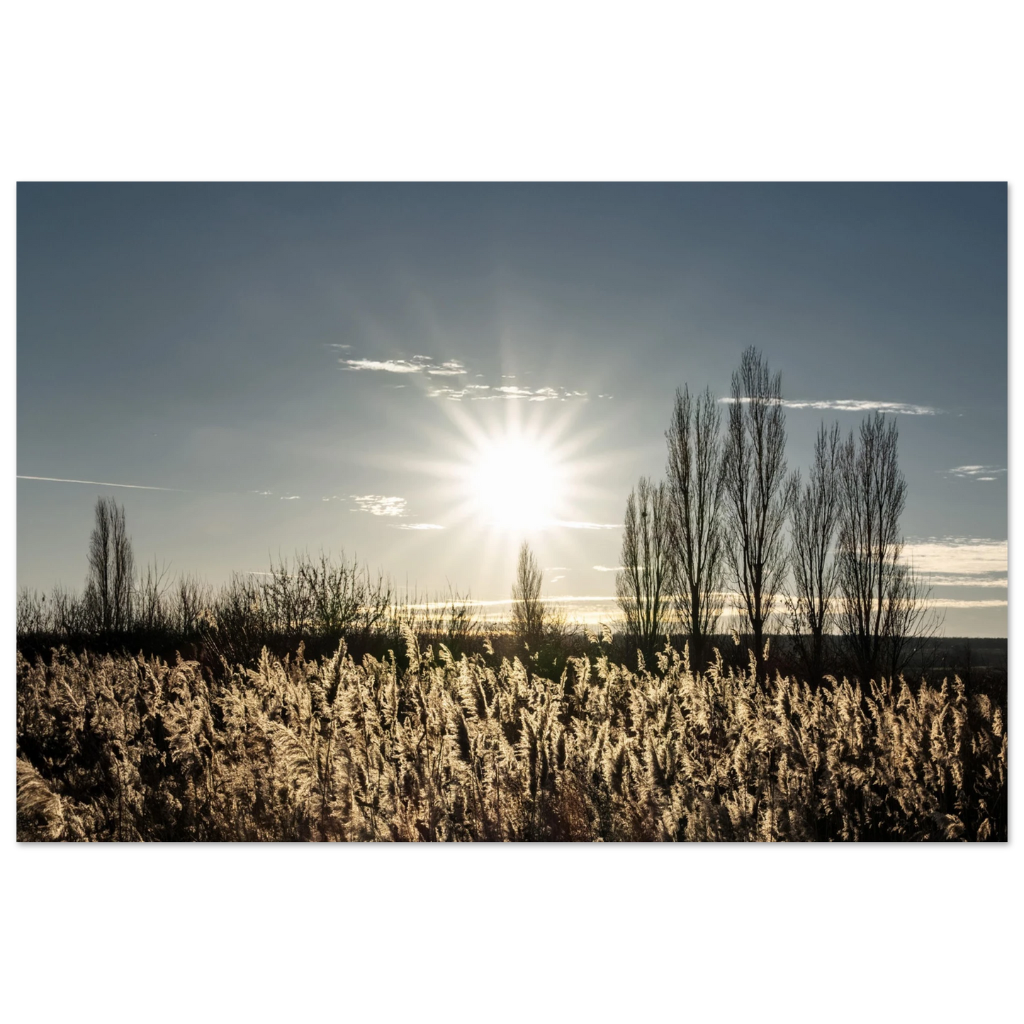 a90cd5e7-1b02-4e3f-8f53-029fe605db93