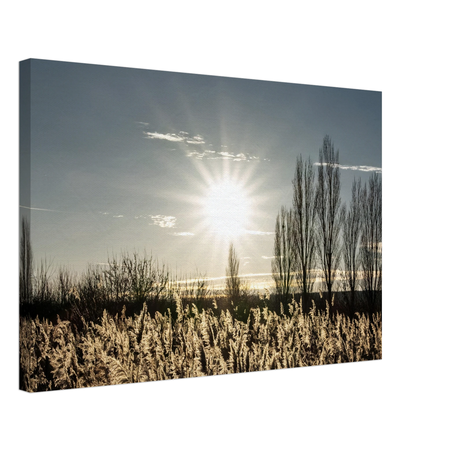 b21db180-4896-422e-ac09-58eecc5f2f92