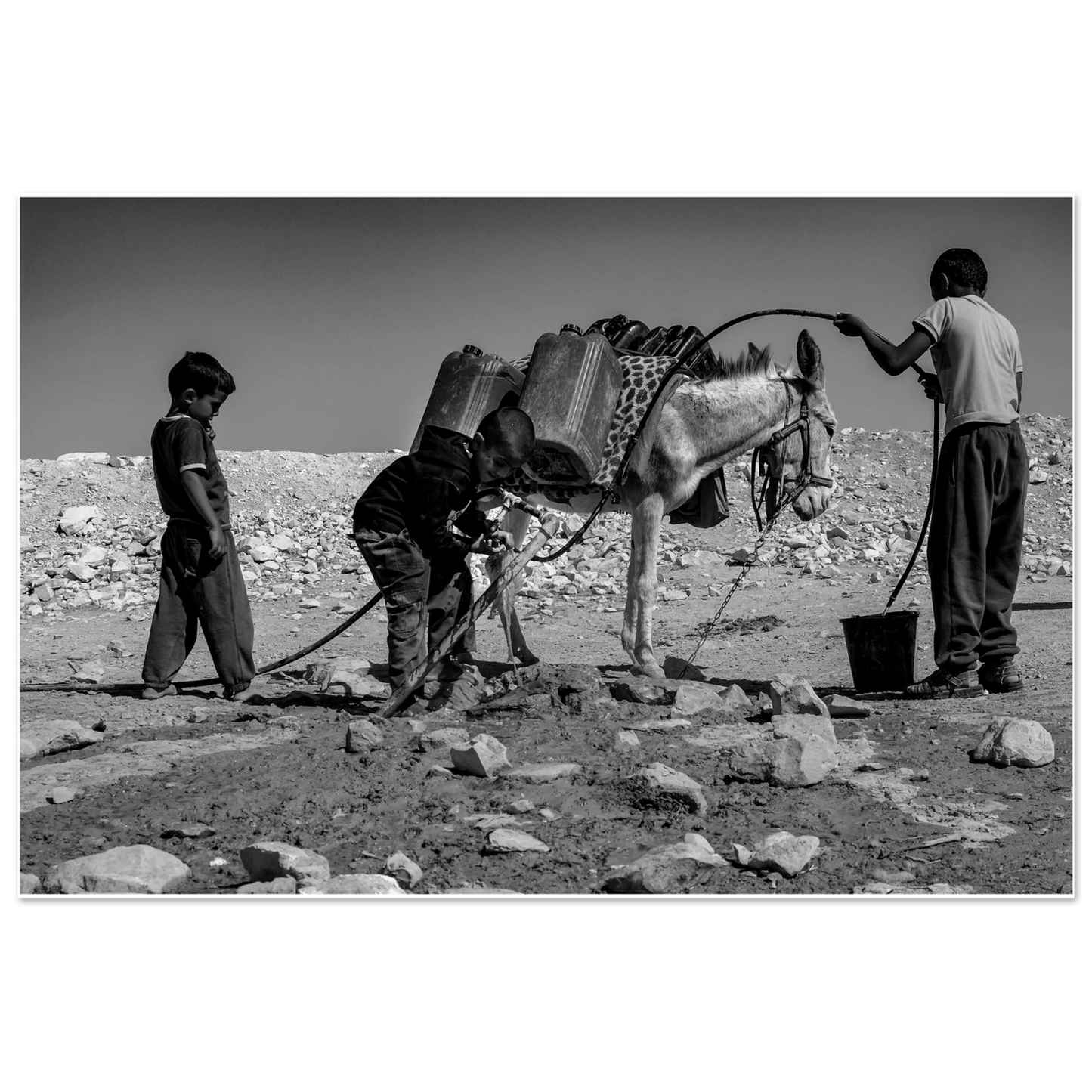 b6aa8028-70a0-4c54-8288-849e248cbecd