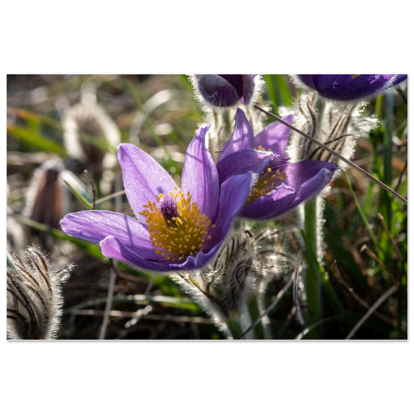 c0df04d2-78cd-4fe5-8c08-bb0109a51739