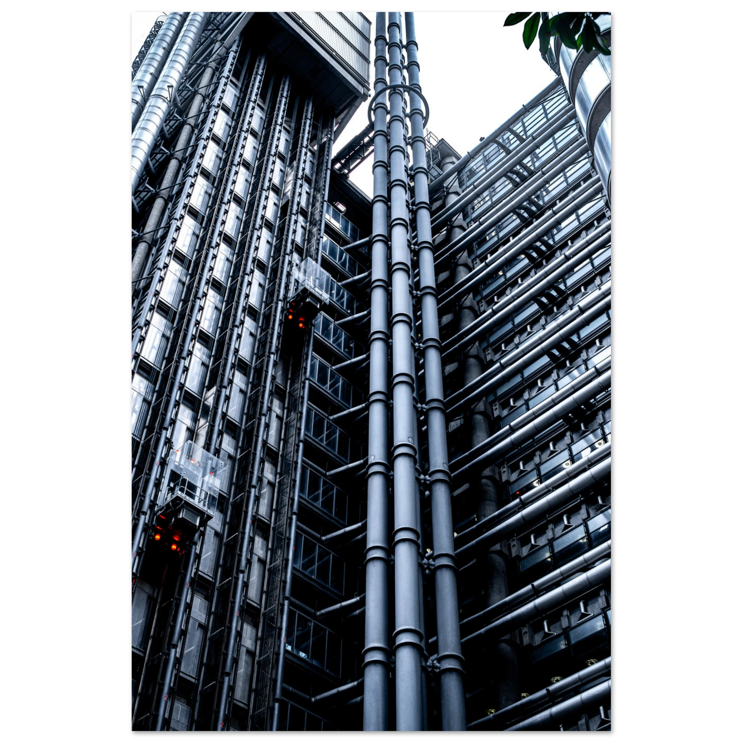 c491116b-d5ee-452a-b29d-8374f9593b31