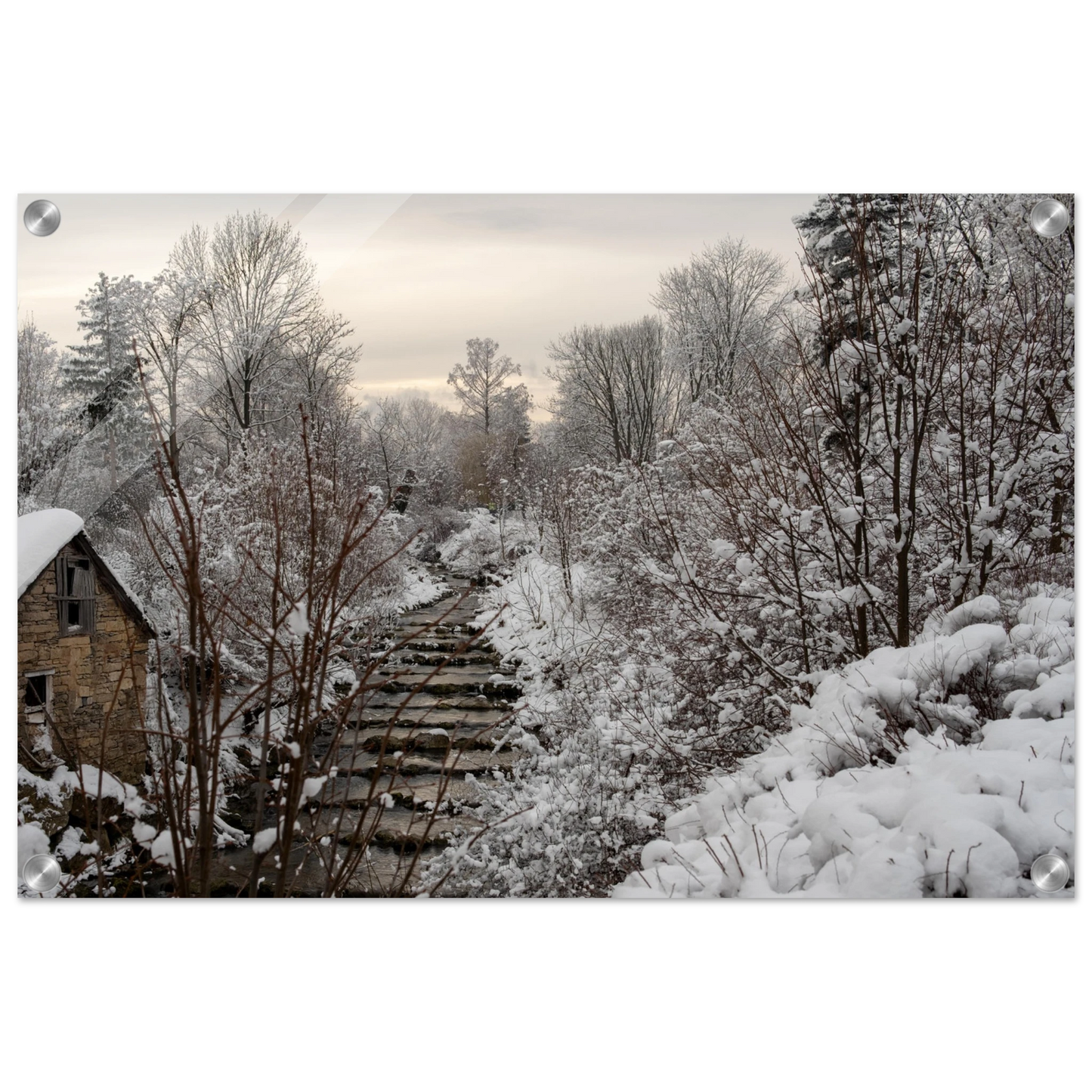 c57609ec-18da-4f22-8d3c-d7d52313e233