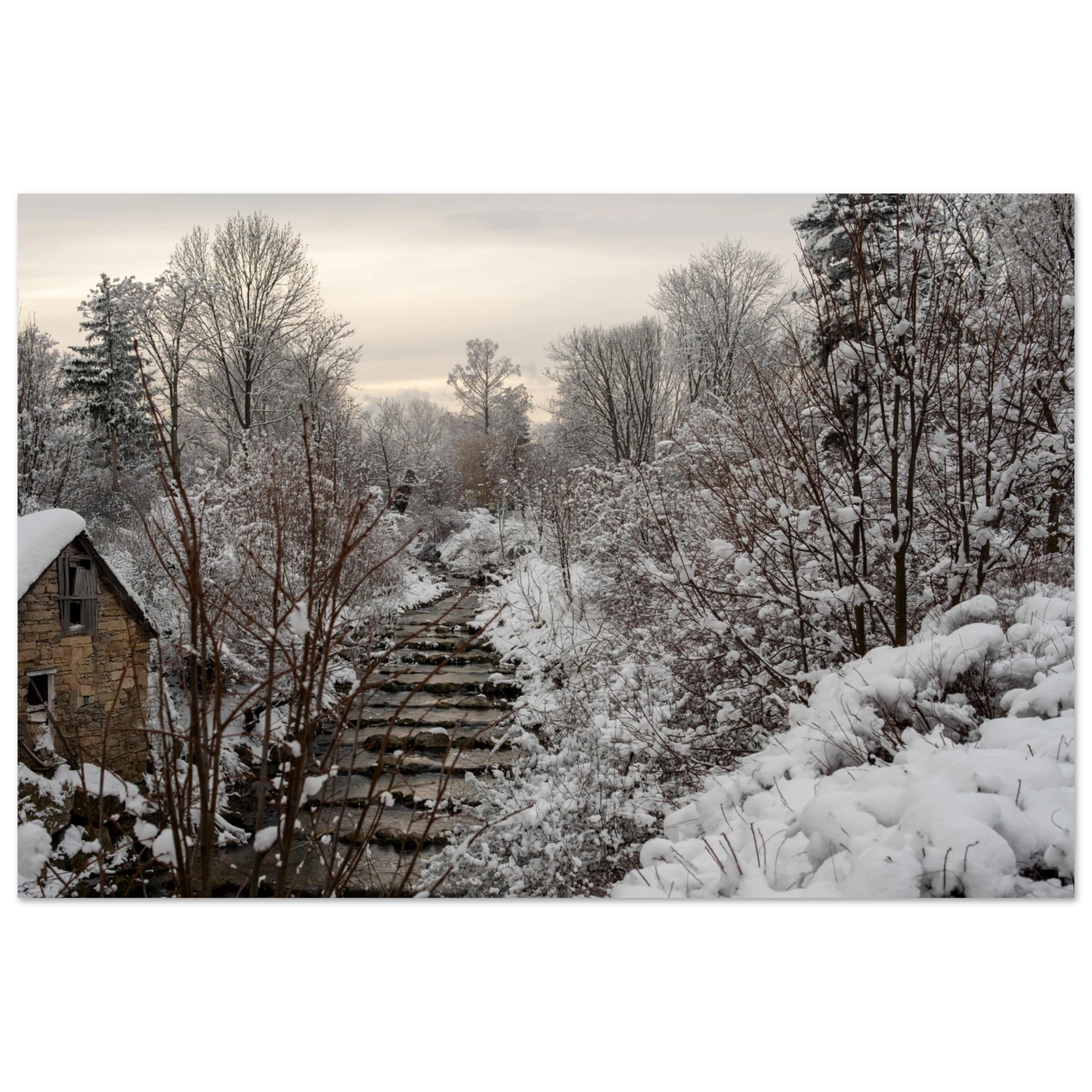 d6f67e6e-a367-4de0-9007-3d75226c4ee3