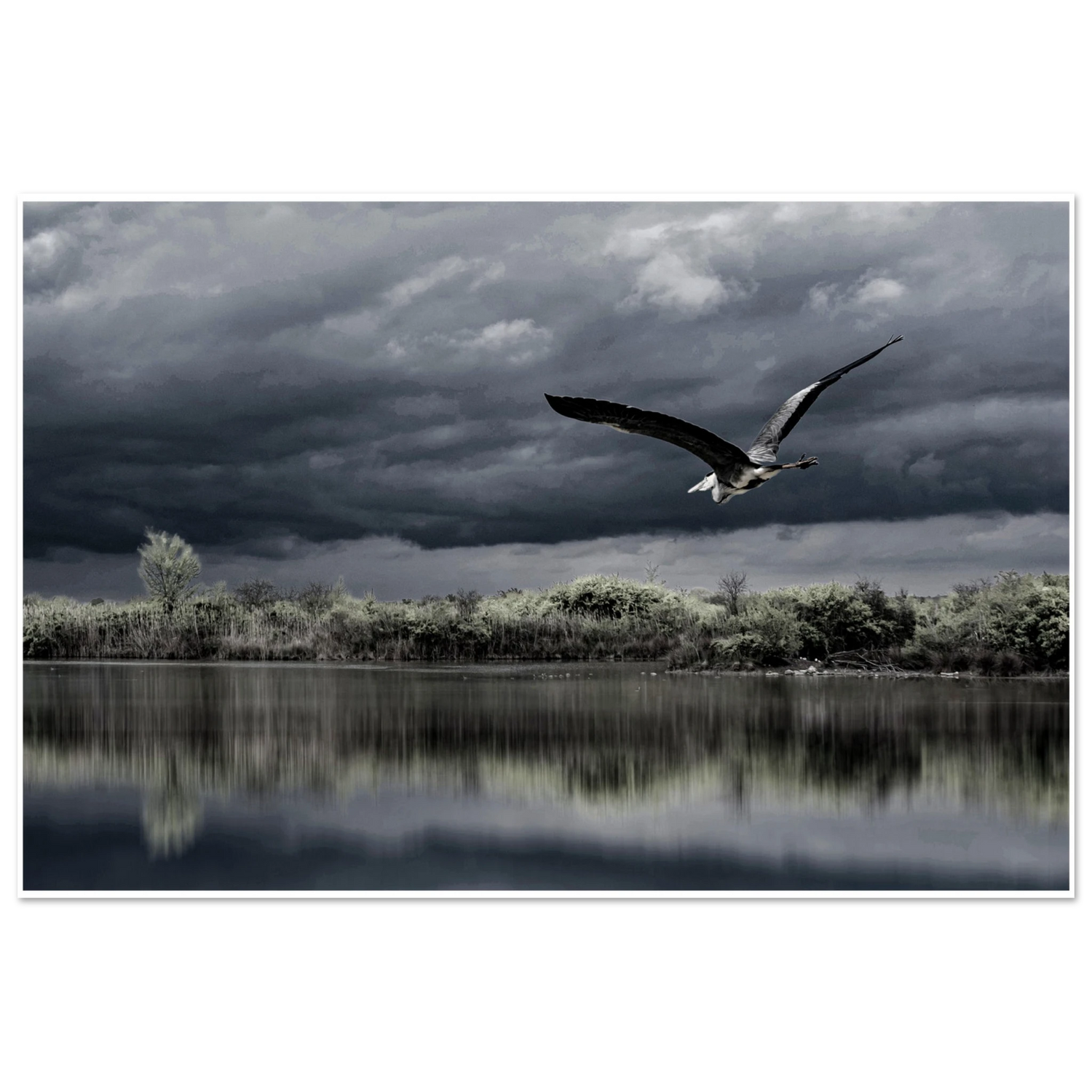 e110593a-b9d1-42af-897f-a085bcc9b3d8