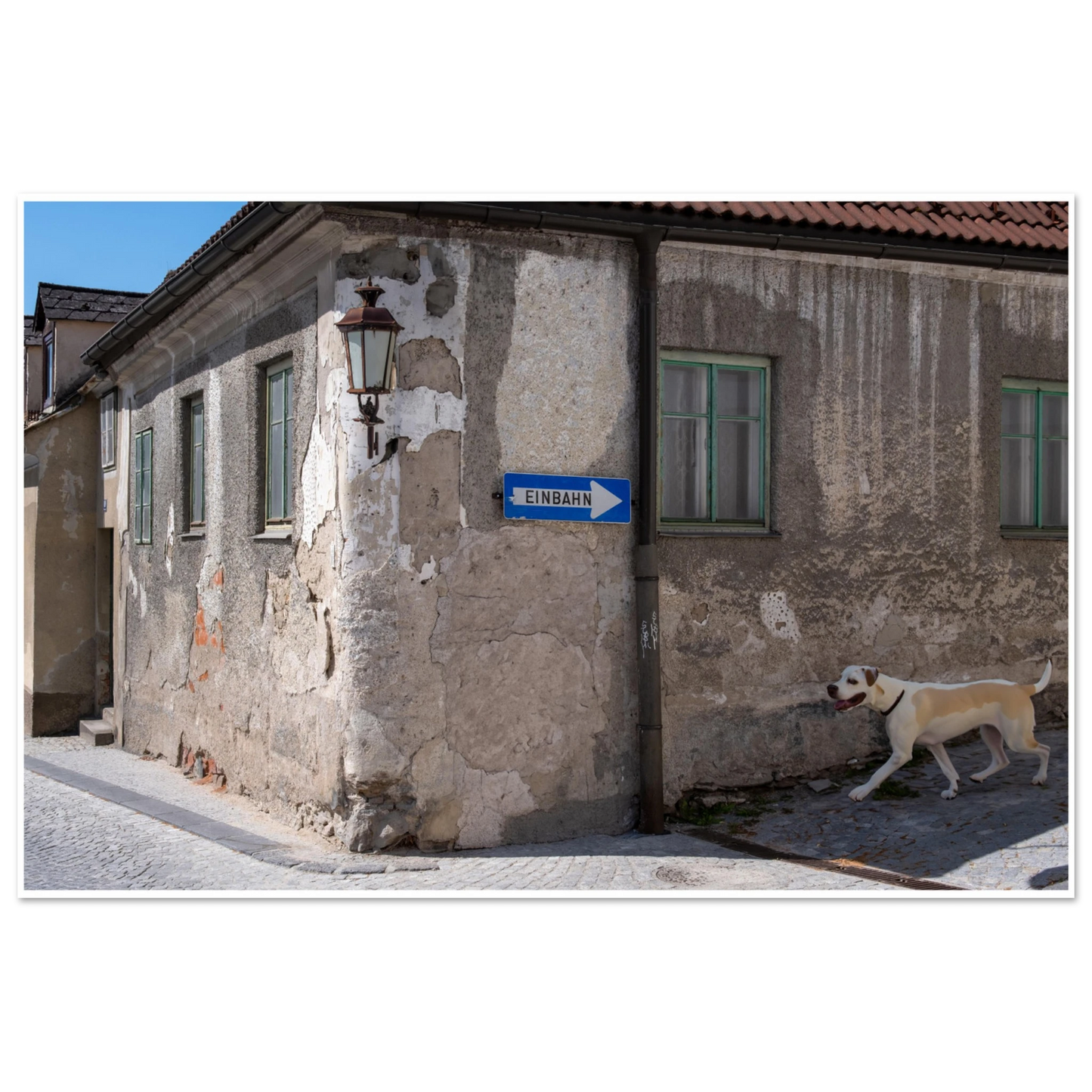 f7b3b89d-d1bb-4a84-9877-17a99631195b